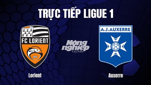 Trực tiếp Lorient vs Auxerre trên On Sports News giải Ligue 1 hôm nay 26/2