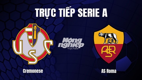Trực tiếp Cremonese vs AS Roma trên On Sports+ giải Serie A ngày 1/3