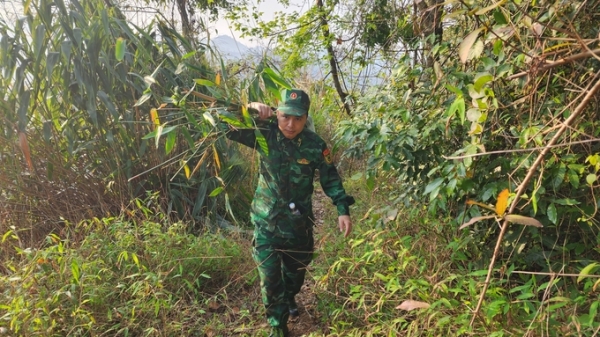 Lũy tre biên giới Việt: Tre xanh đất Việt, hào kiệt anh hùng