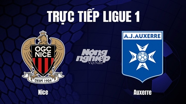 Trực tiếp Nice vs Auxerre trên On Sports giải Ligue 1 hôm nay 4/3