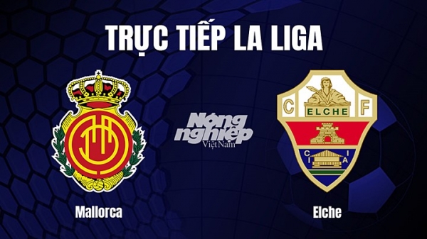 Trực tiếp Mallorca vs Elche trên On Football giải La Liga ngày 5/3