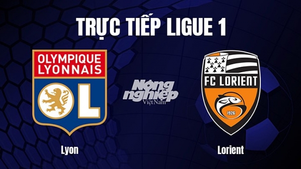 Trực tiếp Lyon vs Lorient trên On Sports+ giải Ligue 1 hôm nay 5/3