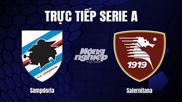Trực tiếp Sampdoria vs Salernitana trên On Sports+ giải Serie A hôm nay 5/3