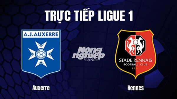 Trực tiếp Auxerre vs Rennes trên On Sports+ giải Ligue 1 hôm nay 11/3