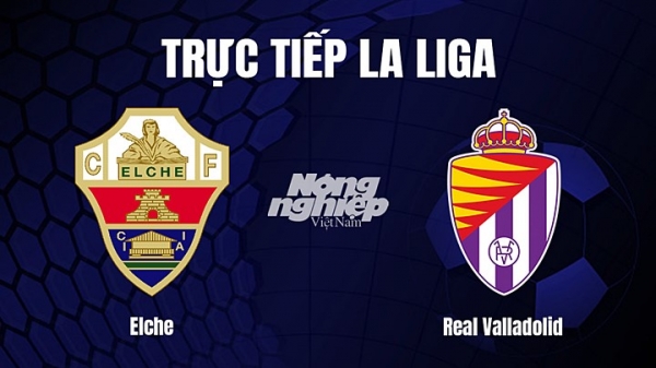 Trực tiếp Elche vs Real Valladolid trên On Football giải La Liga hôm nay 11/3