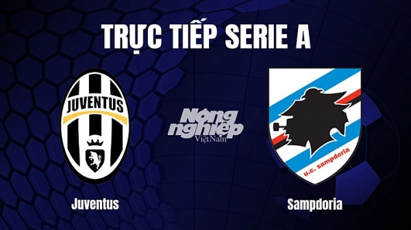 Trực tiếp Juventus vs Sampdoria trên On Sports+ giải Serie A hôm nay 13/3