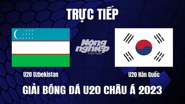 Trực tiếp Uzbekistan vs Hàn Quốc giải U20 Châu Á 2023 trên FPTPlay hôm nay 15/3