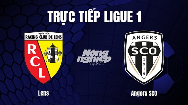 Trực tiếp Lens vs Angers SCO trên On Sports News giải Ligue 1 hôm nay 19/3