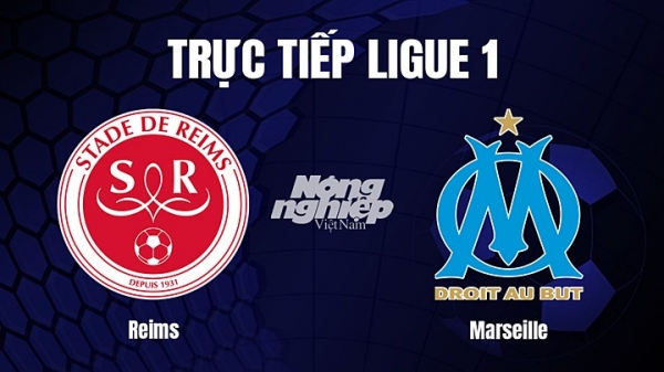 Trực tiếp Reims vs Marseille trên On Football giải Ligue 1 hôm nay 20/3