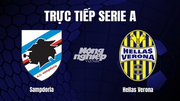 Trực tiếp Sampdoria vs Hellas Verona trên On Sports+ giải Serie A hôm nay 19/3