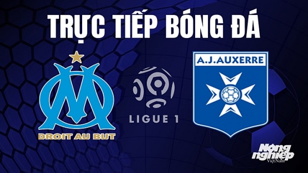 Trực tiếp Marseille vs Auxerre trên On Sports News giải Ligue 1 hôm nay 1/5