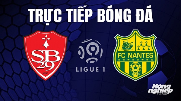 Trực tiếp Brest vs Nantes trên On Sports News giải Ligue 1 hôm nay 4/5