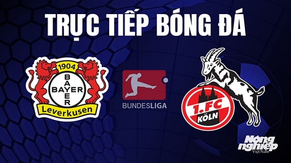 Trực tiếp Bayer Leverkusen vs Koln trên On Sports+ giải Bundesliga hôm nay 6/5