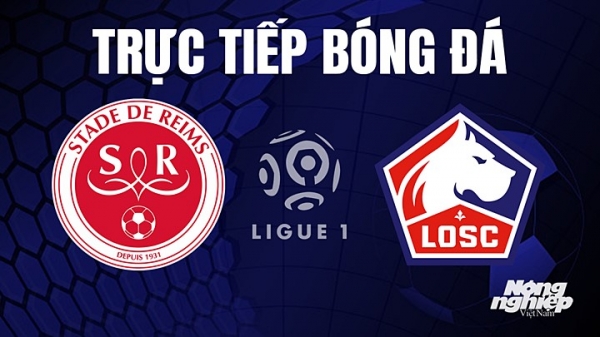 Trực tiếp Reims vs Lille trên On Sports News giải Ligue 1 ngày 7/5