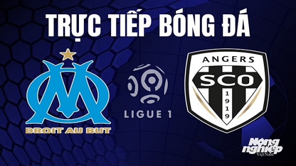 Trực tiếp Marseille vs Angers SCO trên On Sports News giải Ligue 1 hôm nay 15/5