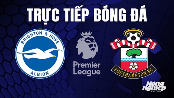 Trực tiếp Brighton vs Southampton trên K+ CINE tại Ngoại hạng Anh hôm nay 21/5
