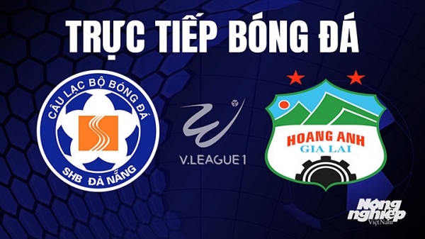 Trực tiếp Đà Nẵng vs HAGL trên VTV5 TN giải V-League 2023 hôm nay 27/5