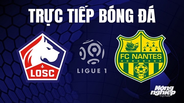 Trực tiếp Lille vs Nantes trên On Sports giải Ligue 1 hôm nay 28/5