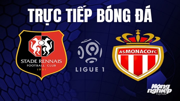 Trực tiếp Rennes vs Monaco trên On Football giải Ligue 1 hôm nay 28/5