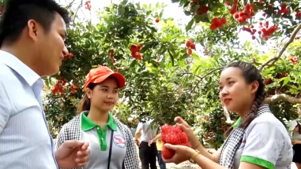 Lễ hội trái cây Long Khánh năm 2023: Mỗi người dân sẽ là một 'đại sứ truyền thông'