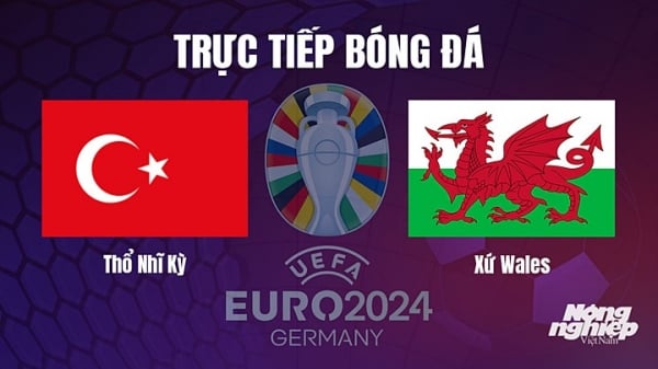 Trực tiếp Thổ Nhĩ Kỳ vs Xứ Wales trên TV360 giải EURO 2024 hôm nay 20/6