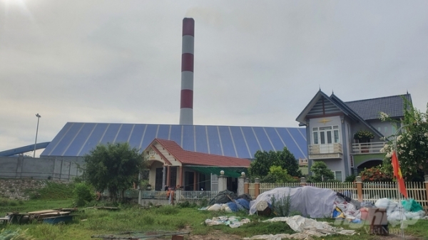 Kiến nghị Nhiệt điện Thái Bình 2 tăng cường biện pháp đảm bảo môi trường
