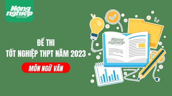 Đề thi Ngữ văn tốt nghiệp THPT Quốc gia năm 2023 [chính thức]
