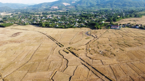 Thiếu kênh thủy lợi, gần 400 ha đất lúa phải bỏ hoang