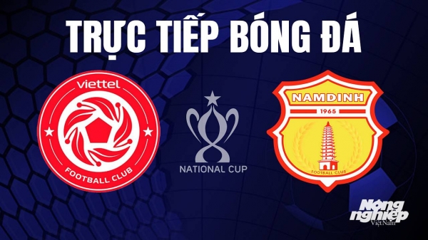 Trực tiếp Viettel vs Nam Định tại Cúp Quốc gia 2023 trên FPTPlay hôm nay 11/7