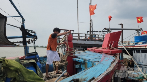 Thanh Hóa: Hơn 4.700 lao động đang hoạt động trên biển