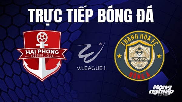 Trực tiếp Hải Phòng vs Thanh Hóa giải V-League 2023 trên VTV5 hôm nay 22/7