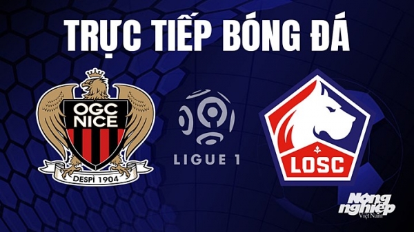 Trực tiếp Nice vs Lille trên On Sports News giải Ligue 1 hôm nay 12/8