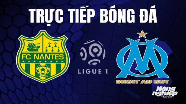 Trực tiếp Nantes vs Marseille trên On Sports giải Ligue 1 hôm nay 2/9