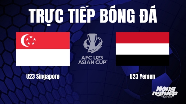 Trực tiếp Singapore vs Yemen giải U23 Châu Á 2024 trên TV360 hôm nay 6/9