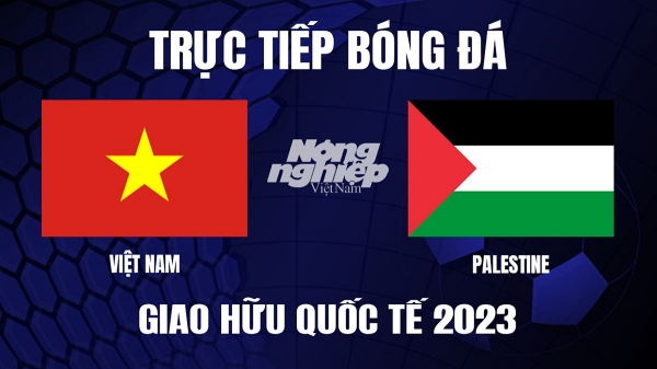 Trực tiếp Việt Nam vs Palestine trên VTV5, VTV5 TNB hôm nay 11/9