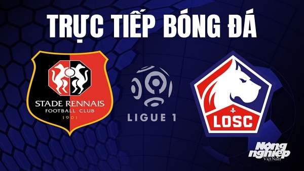 Trực tiếp Rennes vs Lille trên On Sports+ giải Ligue 1 hôm nay 16/9