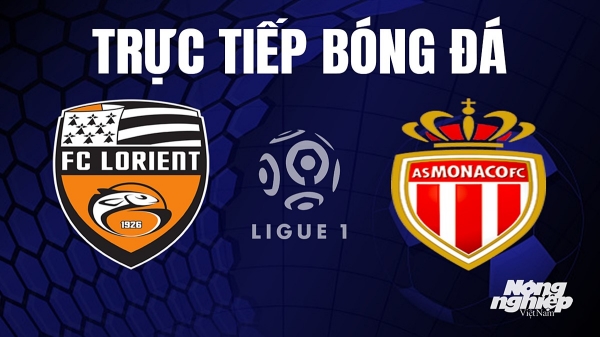 Trực tiếp Lorient vs Monaco trên On Sports News giải Ligue 1 hôm nay 17/9