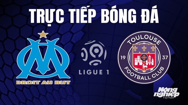 Trực tiếp Marseille vs Toulouse trên On Sports giải Ligue 1 hôm nay 17/9