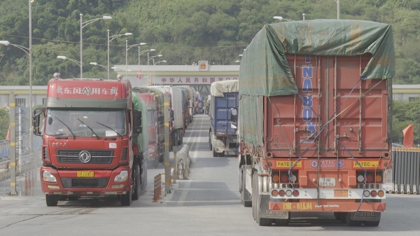 Sầu riêng xuất khẩu ổn định qua cửa khẩu Lào Cai