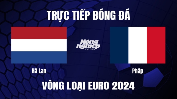 Trực tiếp Hà Lan vs Pháp tại vòng loại EURO 2024 hôm nay 14/10