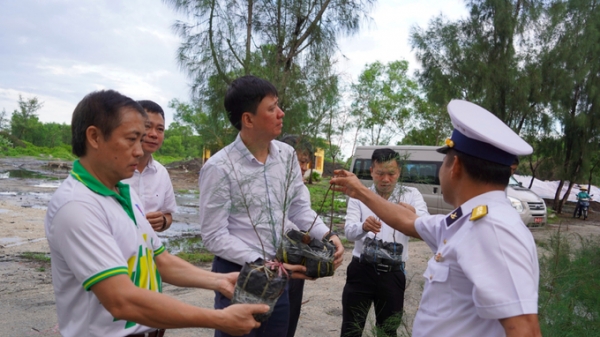 PVFCCo bàn giao 100.000 cây xanh và vật tư góp phần 'xanh hóa Trường Sa'