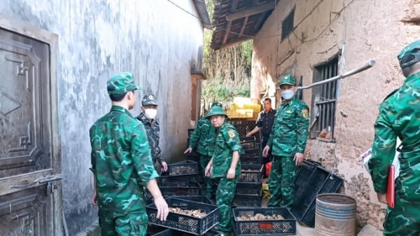 Biên phòng tỉnh Lạng Sơn đề nghị người dân tố cáo hành vi bảo kê