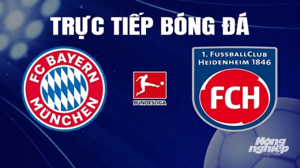 Trực tiếp Bayern Munich vs Heidenheim trên On Sports News giải Bundesliga hôm nay 11/11