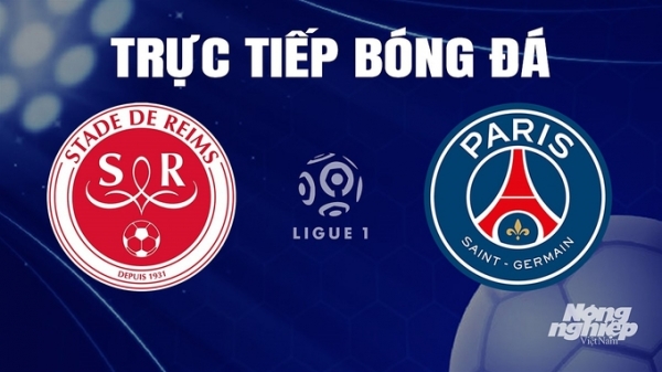 Trực tiếp Reims vs PSG trên On Football giải Ligue 1 hôm nay 11/11