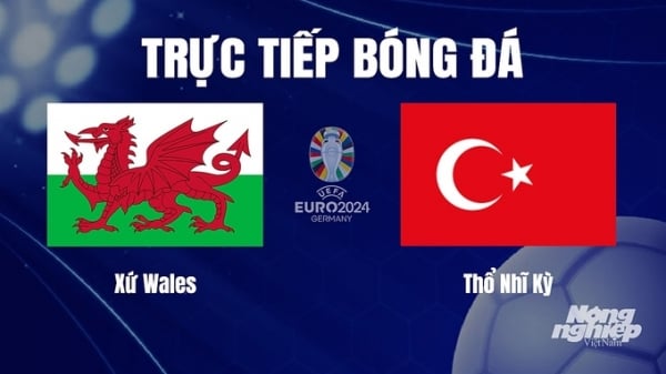 Trực tiếp Xứ Wales vs Thổ Nhĩ Kỳ tại vòng loại Euro 2024 hôm nay 22/11