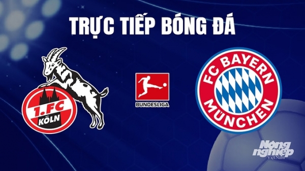 Trực tiếp Koln vs Bayern Munich trên On Sports News giải Bundesliga hôm nay 25/11