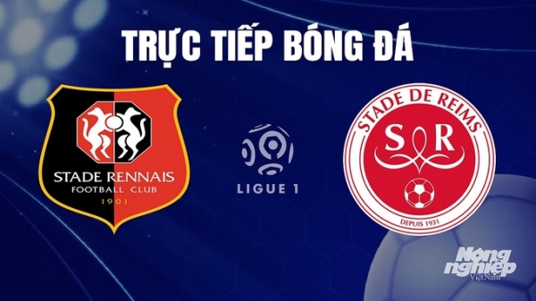 Trực tiếp Rennes vs Reims trên On Sports+ giải Ligue 1 hôm nay 26/11