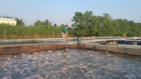 [Last article]: Turn Hai Phong into a seafood processing centre