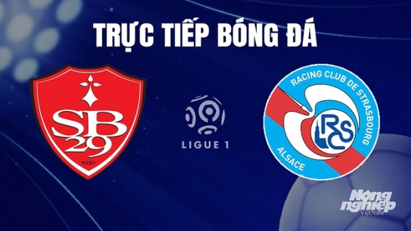 Trực tiếp Brest vs Strasbourg trên On Sports News giải Ligue 1 hôm nay 8/12