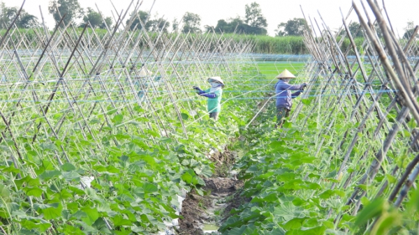 Thủy lợi đổi thay diện mạo nông thôn Tây Ninh: Giải ‘khát’ cho xã biên giới